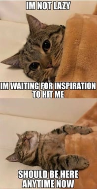 Our Favorite Cat Memes Of 19 So Far