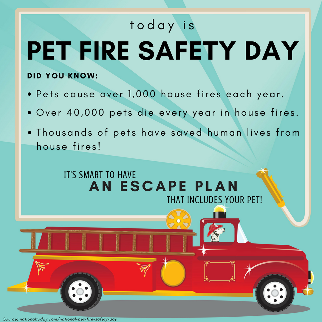 Pet Fire Safety - with source info