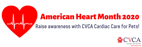 American Heart Month