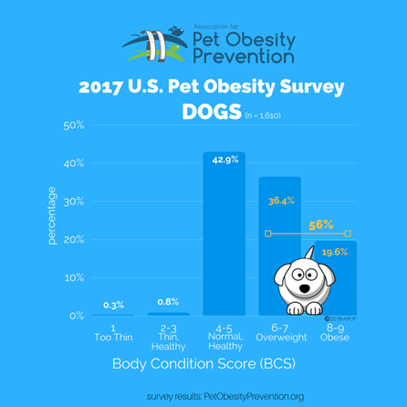 pet obesity survey chart